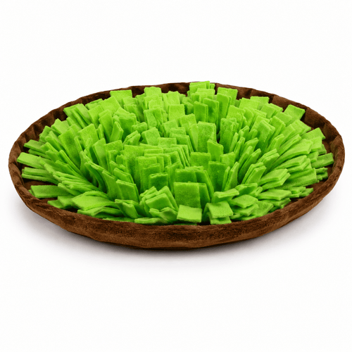 The Caelo Forage Mat — The Sniffing Ritual - Caelo